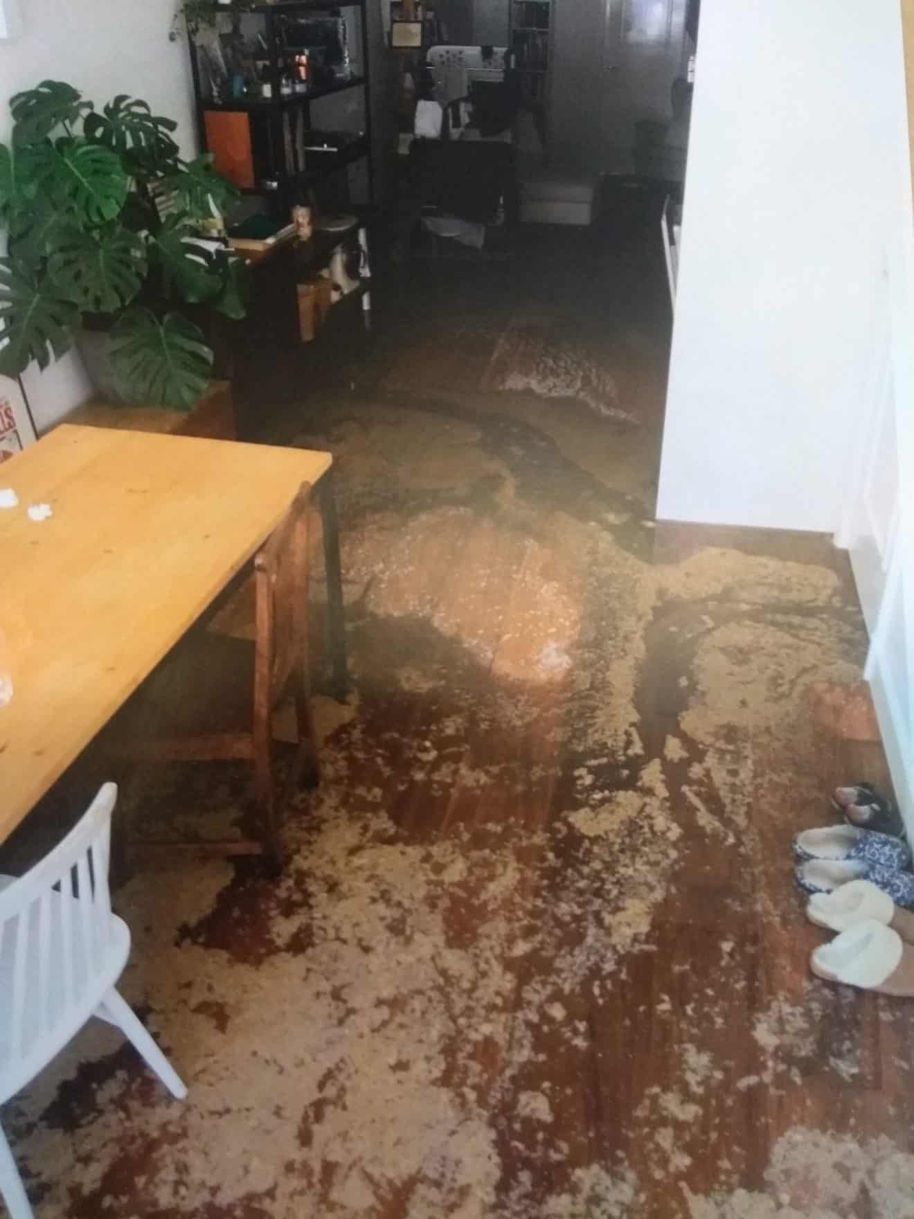 Letterlijk in de shit bij terugkeer van vakantie